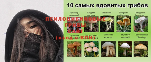 герыч Абаза